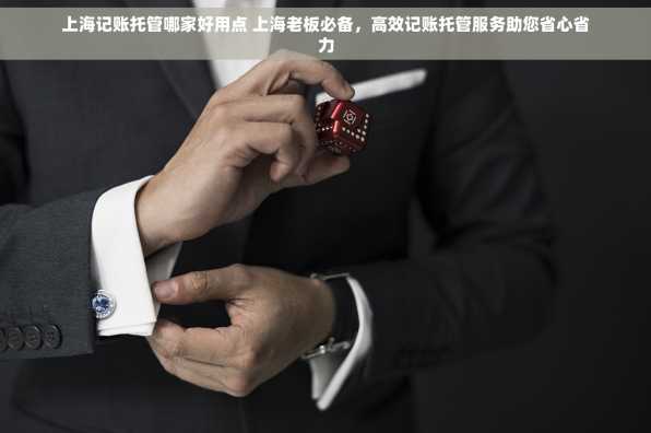上海记账托管哪家好用点 上海老板必备，高效记账托管服务助您省心省力