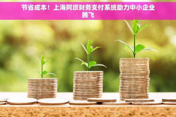 节省成本！上海阿坝财务支付系统助力中小企业腾飞