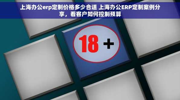 上海办公erp定制价格多少合适 上海办公ERP定制案例分享，看客户如何控制预算