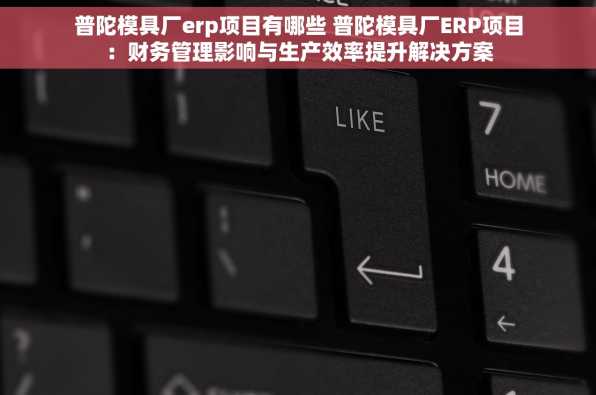 普陀模具厂erp项目有哪些 普陀模具厂ERP项目：财务管理影响与生产效率提升解决方案