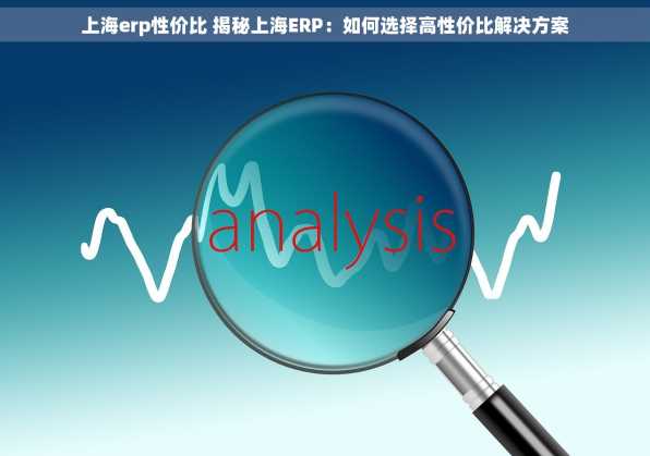 上海erp性价比 揭秘上海ERP：如何选择高性价比解决方案