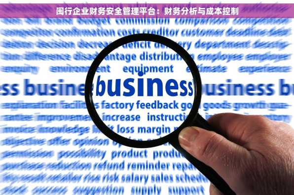 闽行企业财务安全管理平台：财务分析与成本控制