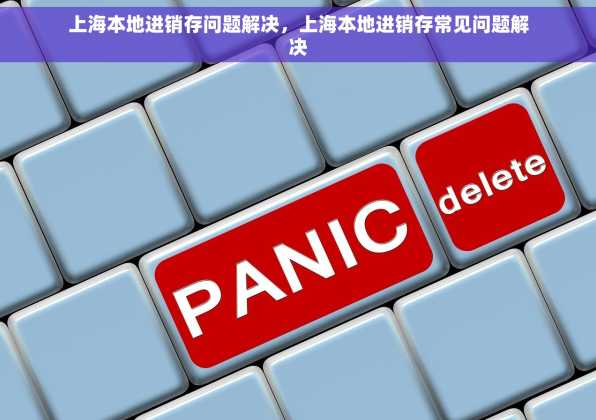 上海本地进销存问题解决，上海本地进销存常见问题解决