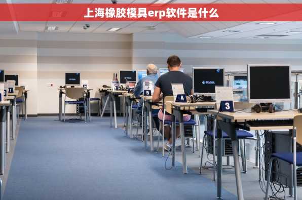 上海橡胶模具erp软件是什么