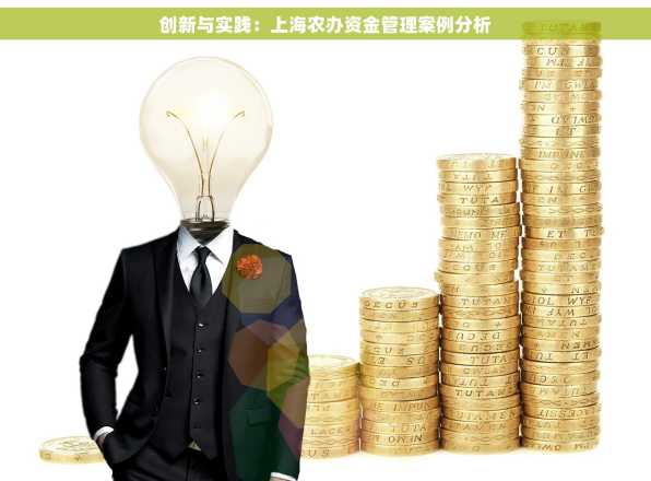 创新与实践：上海农办资金管理案例分析