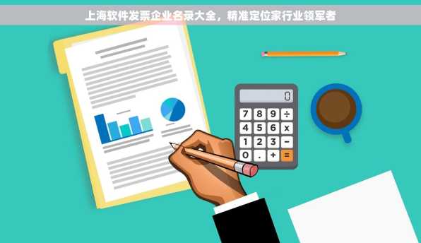 上海软件发票企业名录大全，精准定位家行业领军者