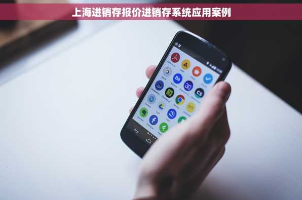 上海进销存报价进销存系统应用案例