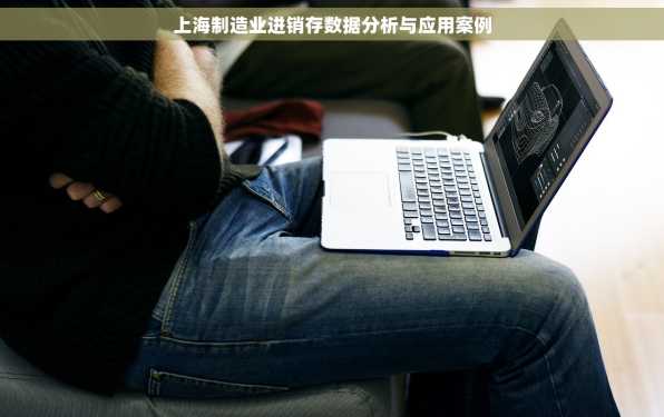 上海制造业进销存数据分析与应用案例