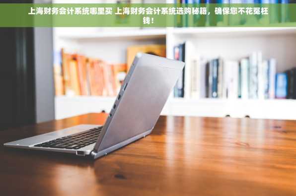 上海财务会计系统哪里买 上海财务会计系统选购秘籍，确保您不花冤枉钱！