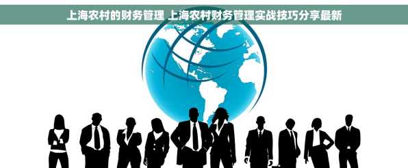 上海农村的财务管理 上海农村财务管理实战技巧分享最新