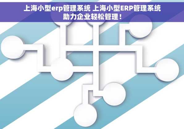 上海小型erp管理系统 上海小型ERP管理系统助力企业轻松管理！