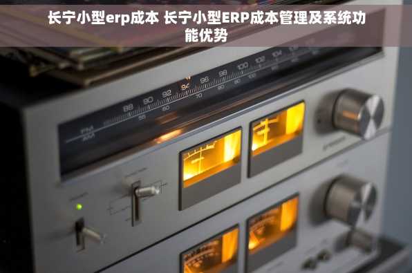 长宁小型erp成本 长宁小型ERP成本管理及系统功能优势