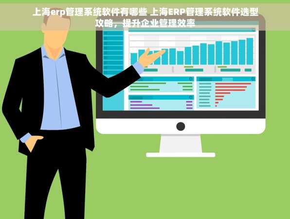上海erp管理系统软件有哪些 上海ERP管理系统软件选型攻略，提升企业管理效率