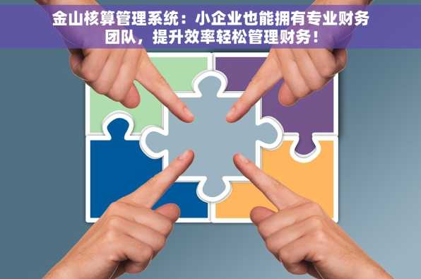 金山核算管理系统：小企业也能拥有专业财务团队，提升效率轻松管理财务！