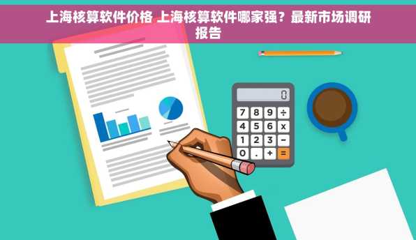 上海核算软件价格 上海核算软件哪家强？最新市场调研报告