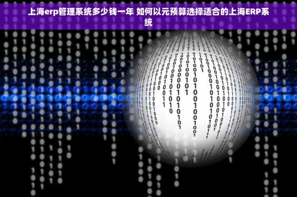 上海erp管理系统多少钱一年 如何以元预算选择适合的上海ERP系统