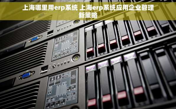 上海哪里用erp系统 上海erp系统应用企业管理新策略