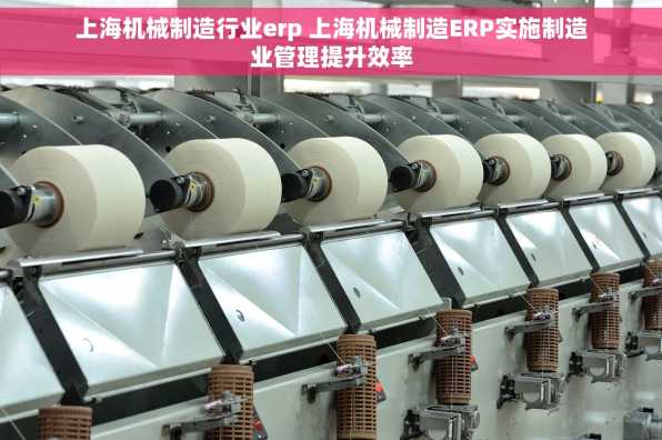 上海机械制造行业erp 上海机械制造ERP实施制造业管理提升效率