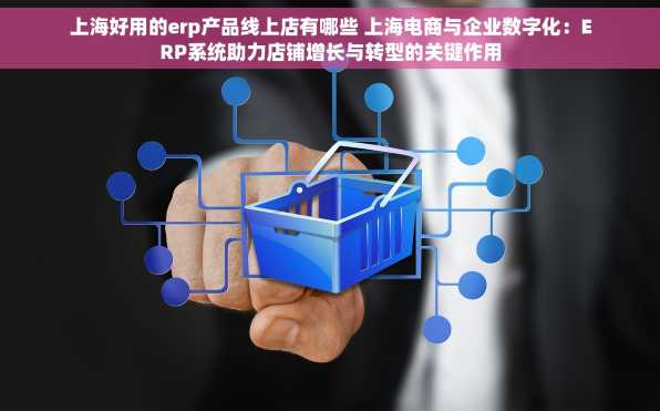 上海好用的erp产品线上店有哪些 上海电商与企业数字化：ERP系统助力店铺增长与转型的关键作用