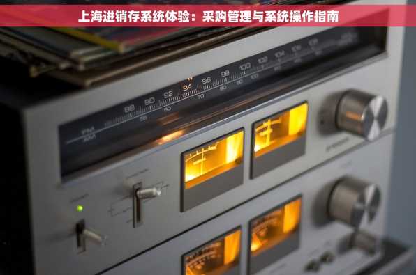 上海进销存系统体验：采购管理与系统操作指南