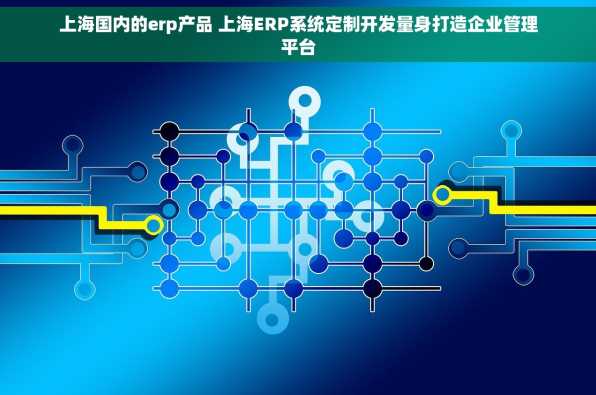 上海国内的erp产品 上海ERP系统定制开发量身打造企业管理平台