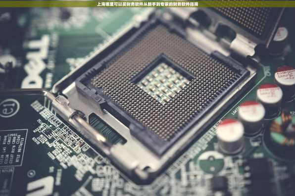 上海哪里可以买财务软件从新手到专家的财务软件指南