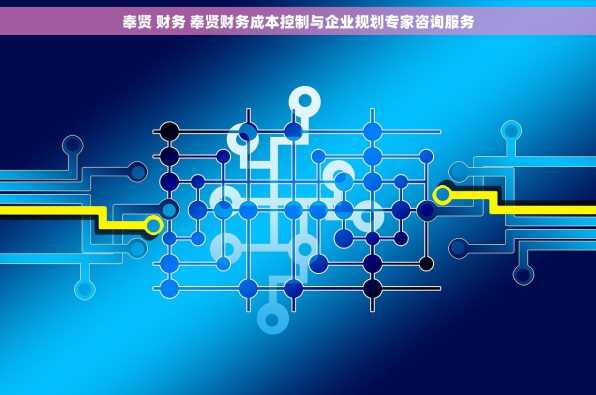 奉贤 财务 奉贤财务成本控制与企业规划专家咨询服务