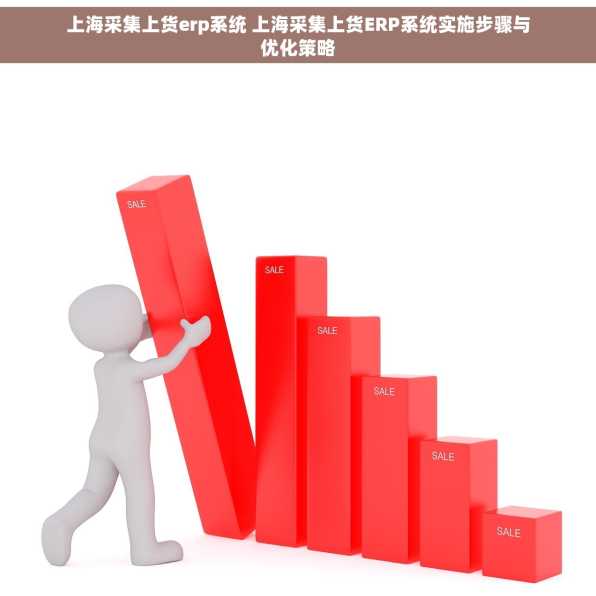 上海采集上货erp系统 上海采集上货ERP系统实施步骤与优化策略