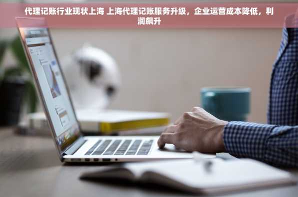 代理记账行业现状上海 上海代理记账服务升级，企业运营成本降低，利润飙升