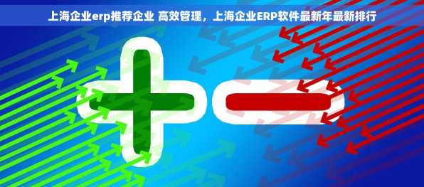 上海企业erp推荐企业 高效管理，上海企业ERP软件最新年最新排行