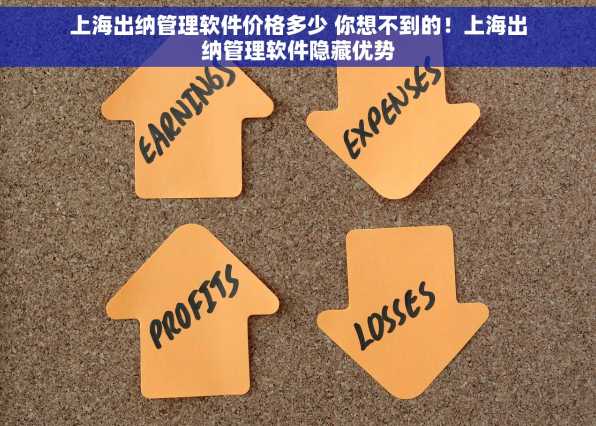 上海出纳管理软件价格多少 你想不到的！上海出纳管理软件隐藏优势