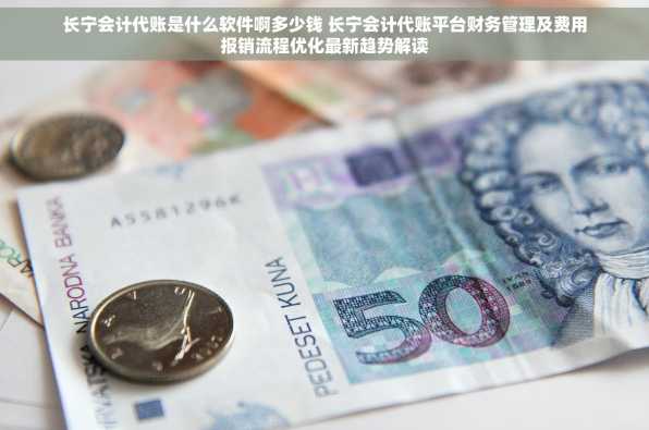 长宁会计代账是什么软件啊多少钱 长宁会计代账平台财务管理及费用报销流程优化最新趋势解读