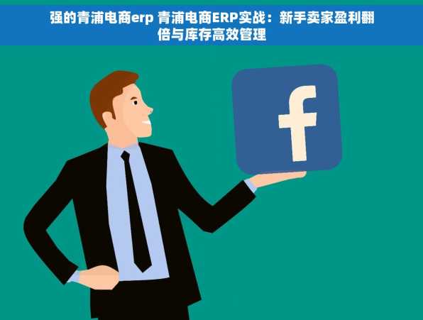 强的青浦电商erp 青浦电商ERP实战：新手卖家盈利翻倍与库存高效管理