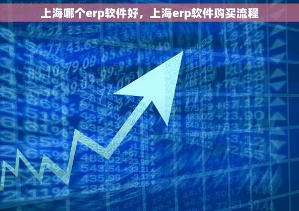 上海哪个erp软件好，上海erp软件购买流程