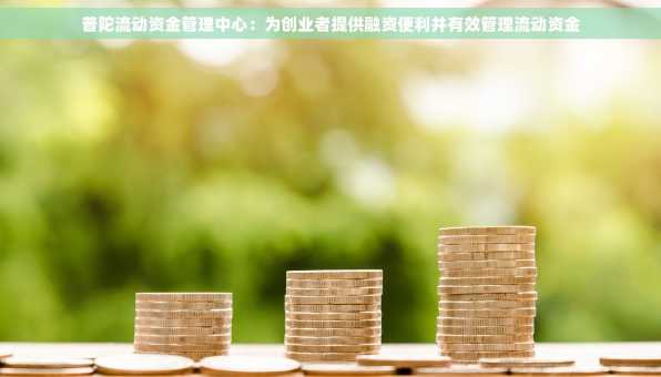 普陀流动资金管理中心：为创业者提供融资便利并有效管理流动资金