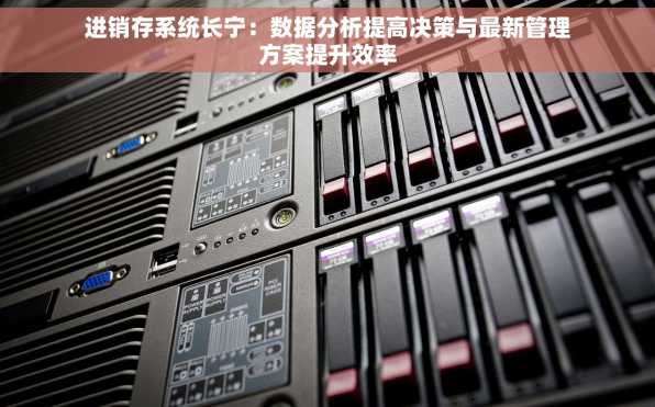 进销存系统长宁：数据分析提高决策与最新管理方案提升效率