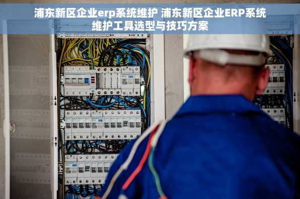 浦东新区企业erp系统维护 浦东新区企业ERP系统维护工具选型与技巧方案