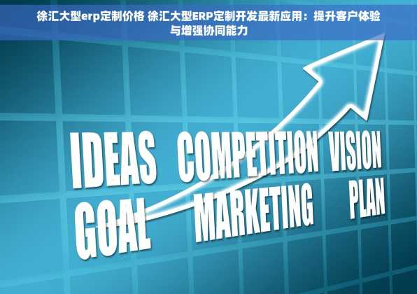 徐汇大型erp定制价格 徐汇大型ERP定制开发最新应用：提升客户体验与增强协同能力