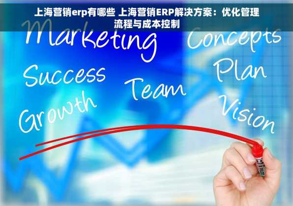 上海营销erp有哪些 上海营销ERP解决方案：优化管理流程与成本控制