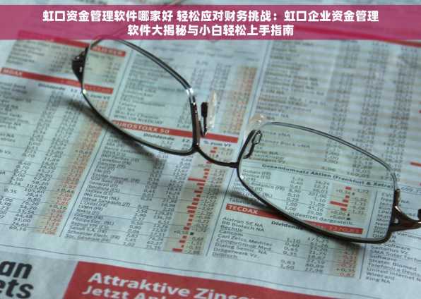 虹口资金管理软件哪家好 轻松应对财务挑战：虹口企业资金管理软件大揭秘与小白轻松上手指南