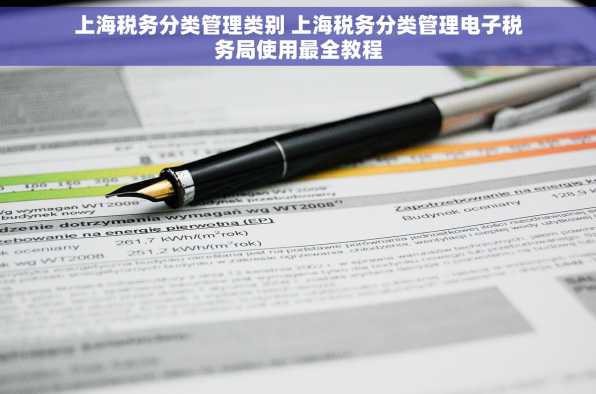 上海税务分类管理类别 上海税务分类管理电子税务局使用最全教程