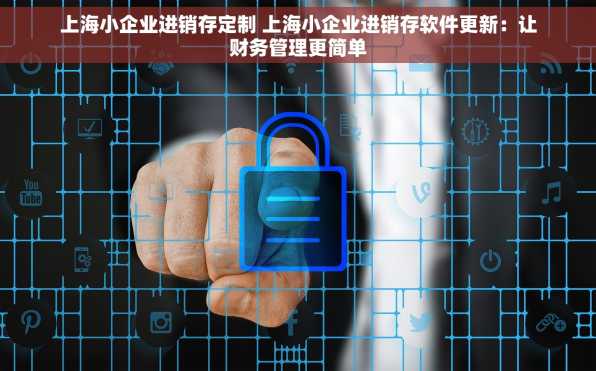 上海小企业进销存定制 上海小企业进销存软件更新：让财务管理更简单