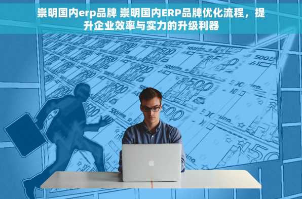 崇明国内erp品牌 崇明国内ERP品牌优化流程，提升企业效率与实力的升级利器