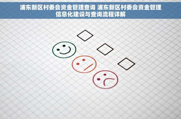 浦东新区村委会资金管理查询 浦东新区村委会资金管理信息化建设与查询流程详解