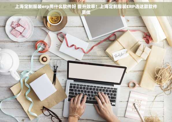 上海定制服装erp用什么软件好 提升效率！上海定制服装ERP选这款软件更佳