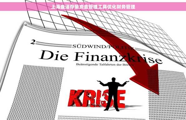 上海盘活存量资金管理工具优化财务管理