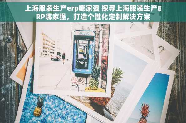 上海服装生产erp哪家强 探寻上海服装生产ERP哪家强，打造个性化定制解决方案