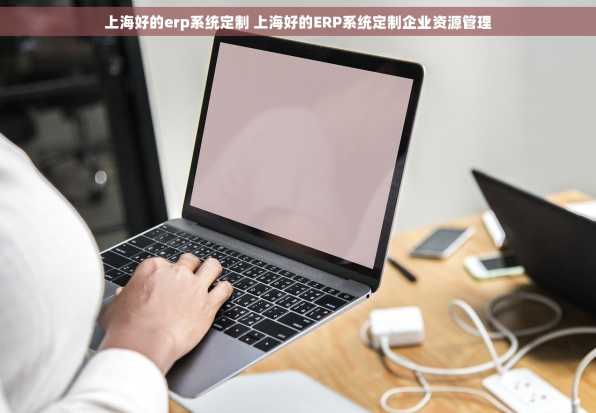 上海好的erp系统定制 上海好的ERP系统定制企业资源管理
