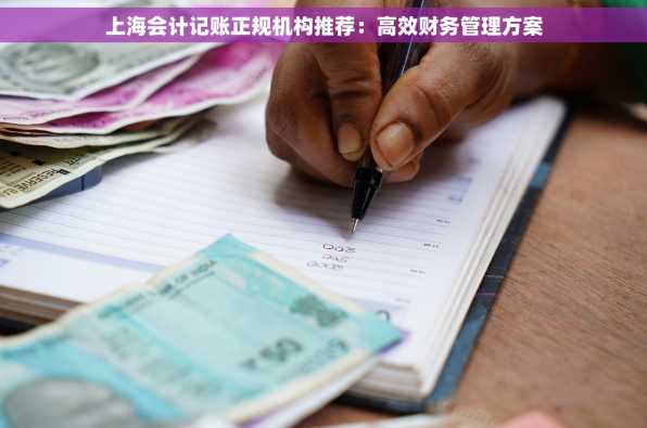 上海会计记账正规机构推荐：高效财务管理方案
