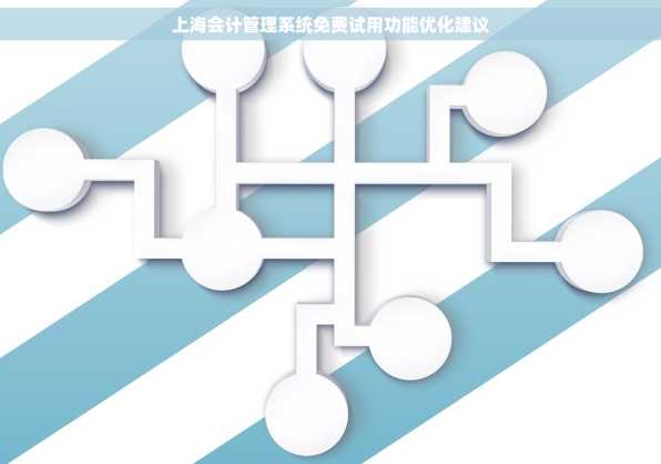 上海会计管理系统免费试用功能优化建议